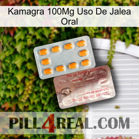 Kamagra 100Mg Oral Jelly Use new13.jpg